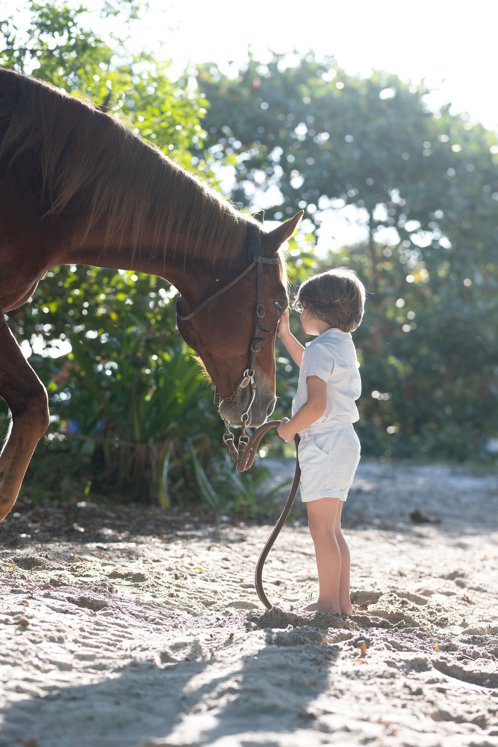 Mountain Meadows Shirt-Clr Blu Tiny St