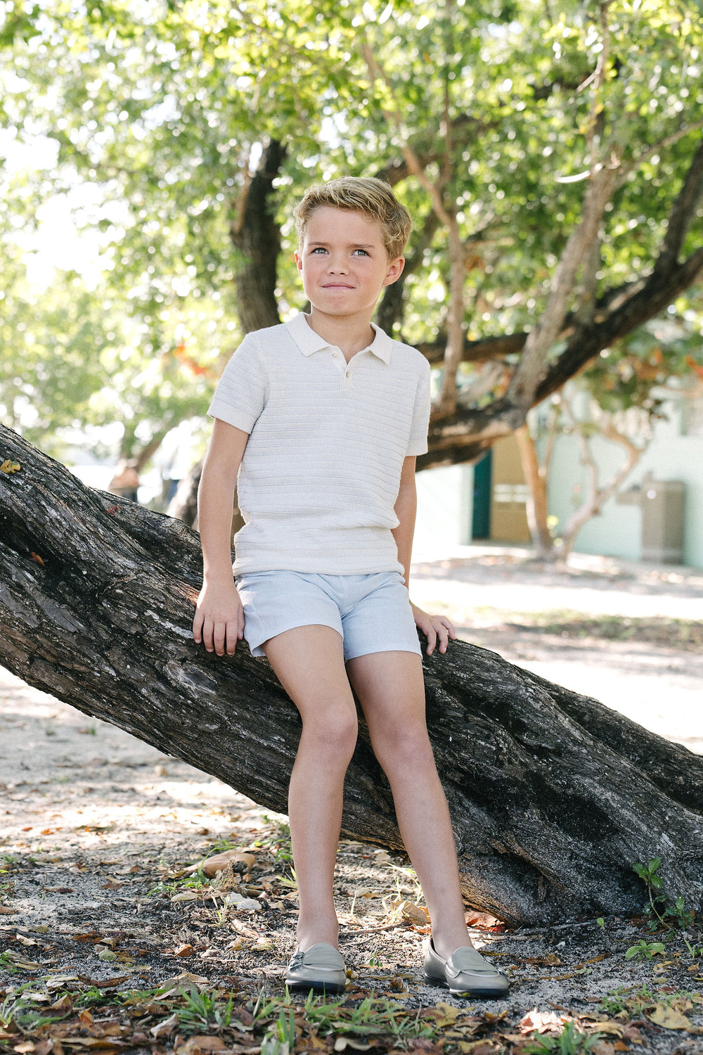 Dress Shorts - Clear Blue