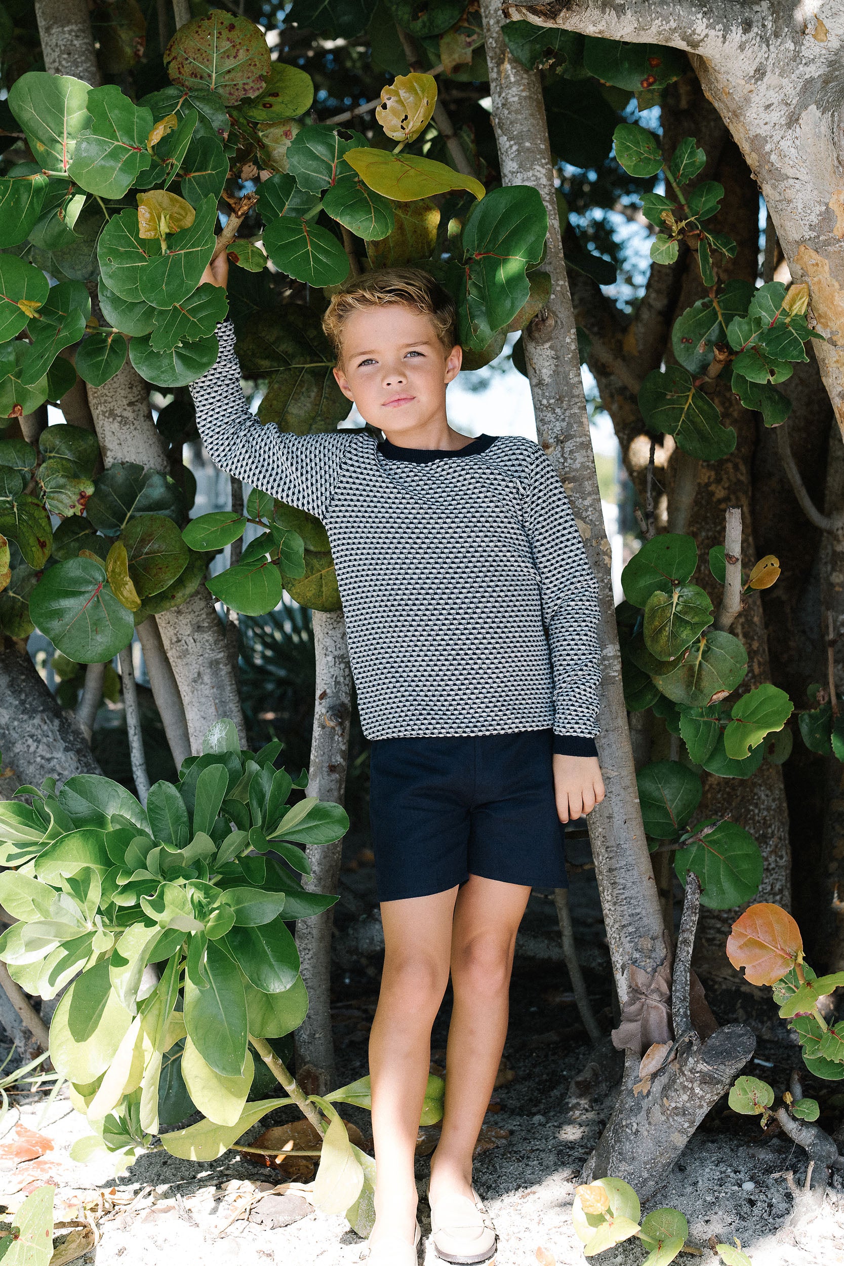 lil legs dress shorts Lil Legs Dress Shorts