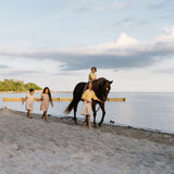 Pintuck Collar Blouse SS-Bud Pink