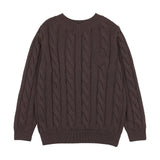 Chunky V Neck Sweater-Chocolate Brown