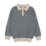 Heirloom Knits Boys Collared Sweater-Dried Blue/Cream Print